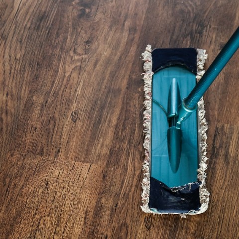 Mop